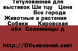 Титулованная для выставок Ши-тцу › Цена ­ 100 000 - Все города Животные и растения » Собаки   . Кировская обл.,Соломинцы д.